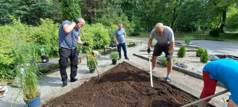 Príprava pôdy na záhonoch v Parku Gudernova v roku 2023