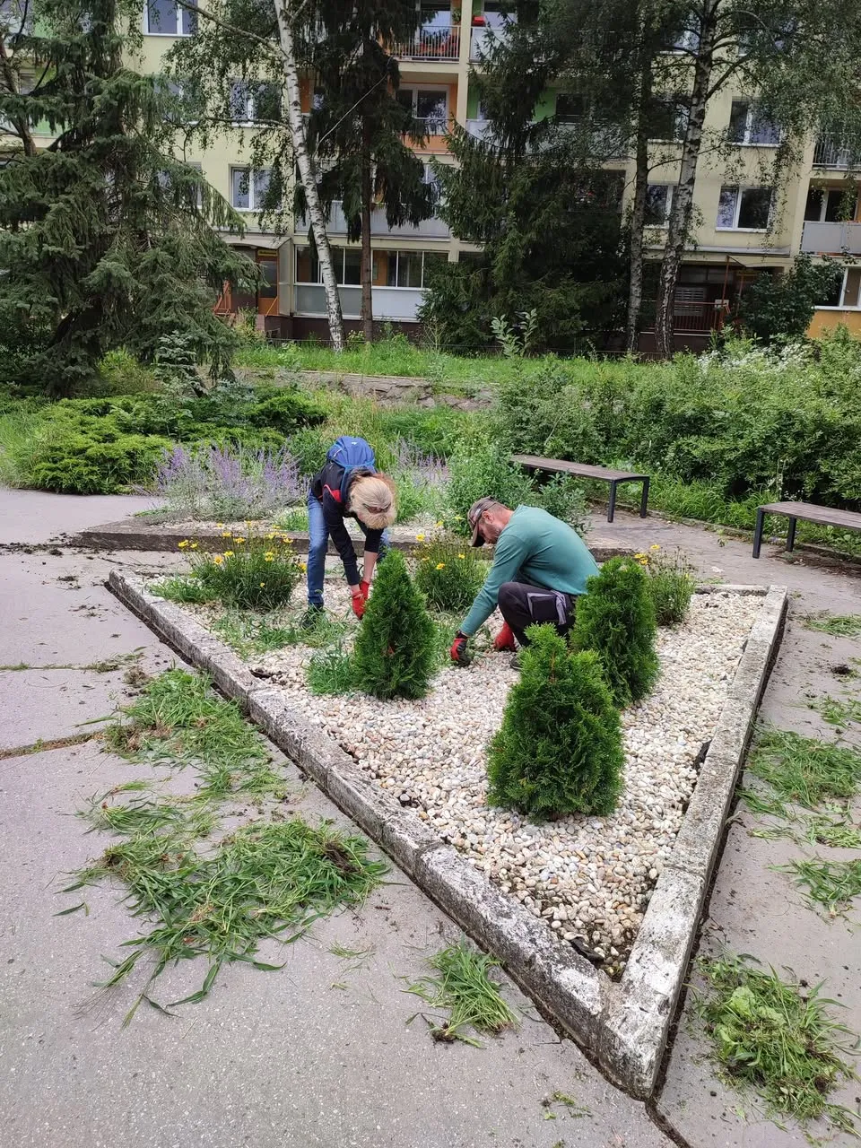Susedská výsadba trvaliek v Parku Gudernova